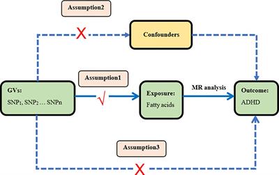 Plasma fatty acids and attention deficit hyperactivity disorder: a Mendelian randomization investigation